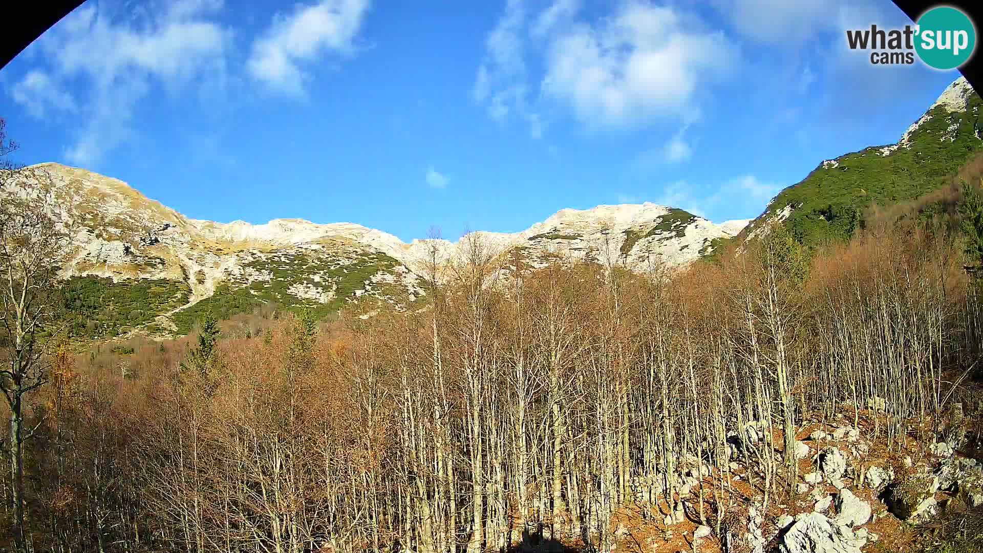 PLANINA RAZOR web kamera (1315) | pogled na Vogel i Globoko