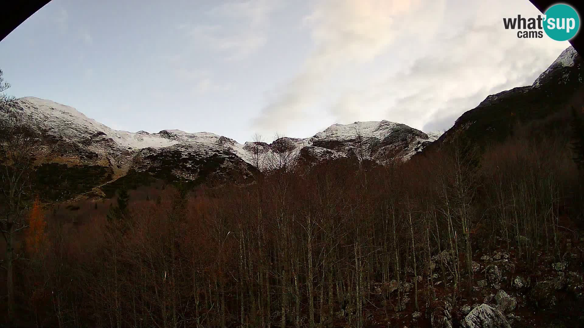Webcam PLANINA RAZOR (1315) | Blick auf Vogel und Globoko