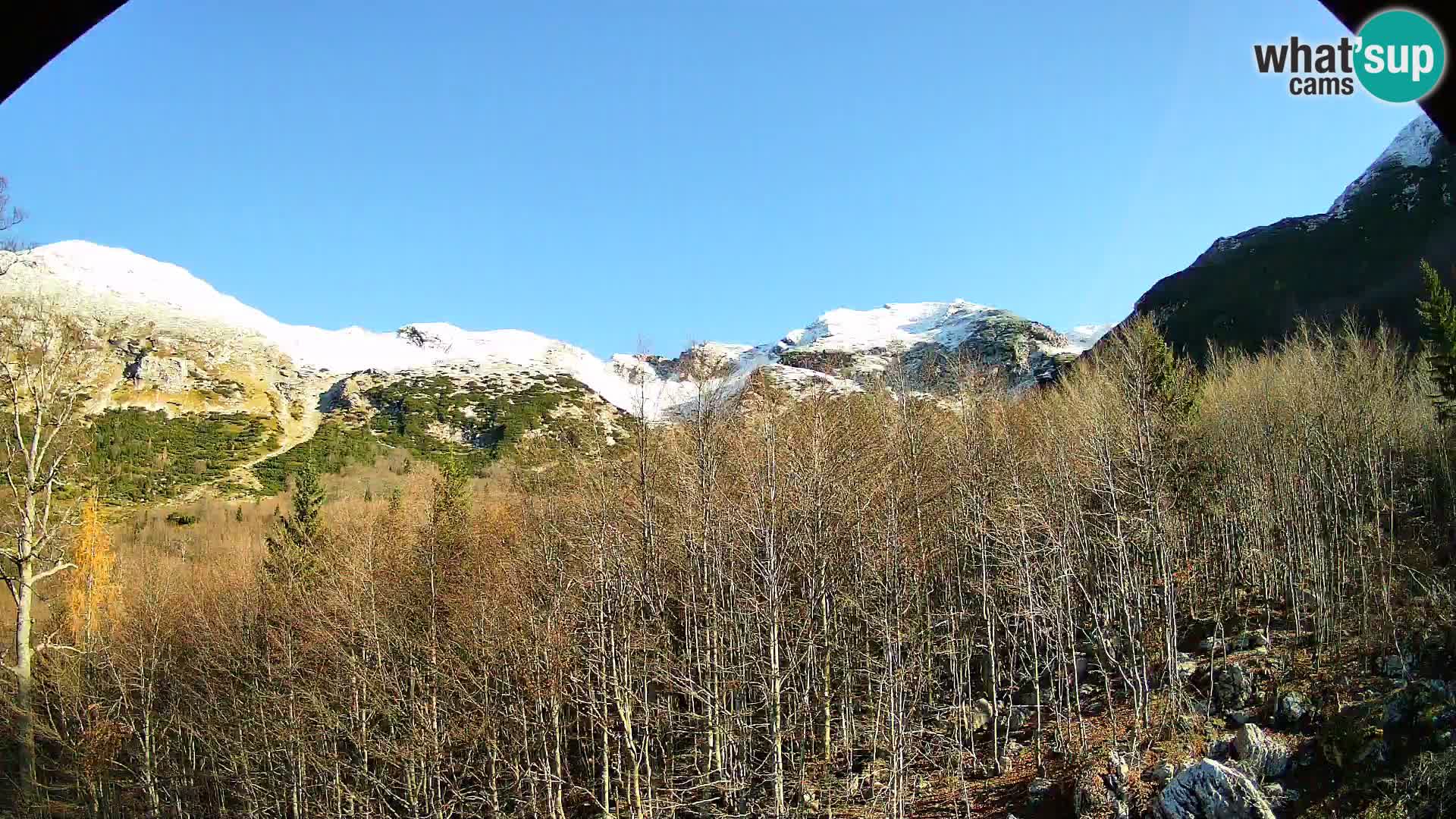 Webcam PLANINA RAZOR (1315) | Blick auf Vogel und Globoko