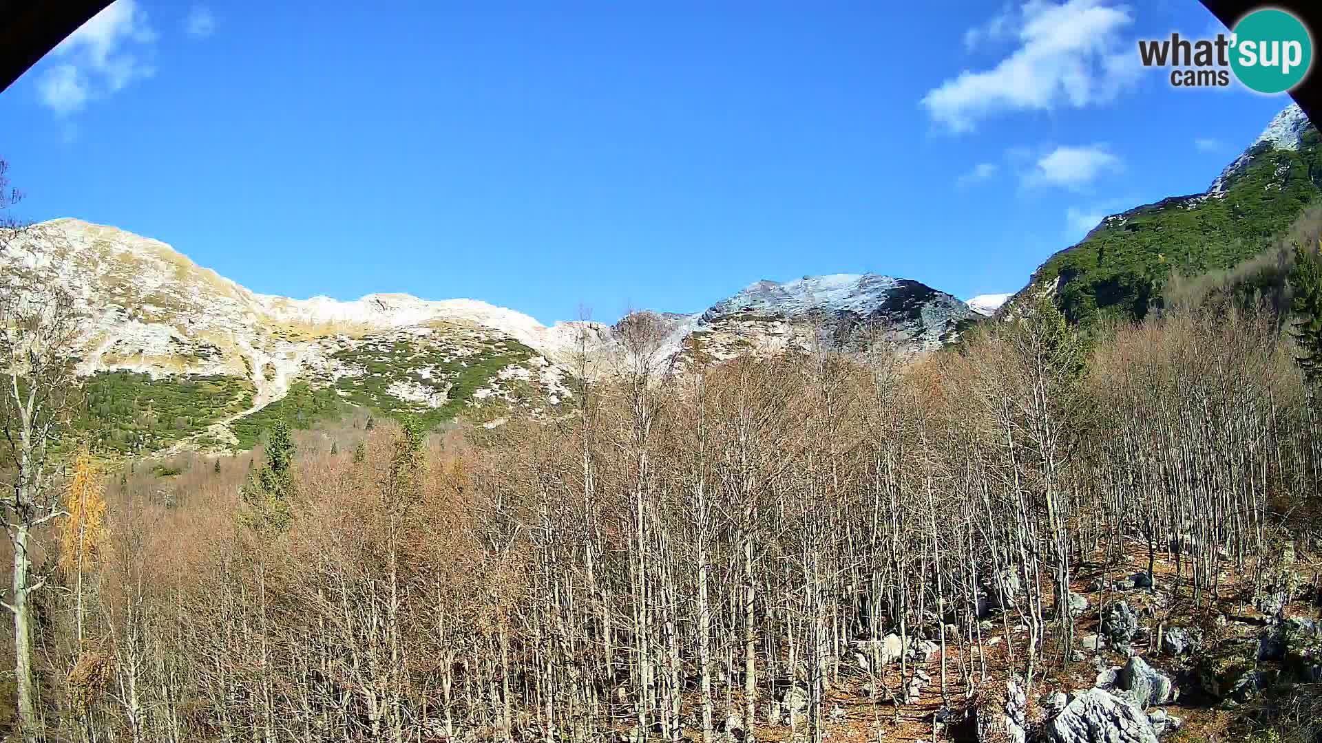 PLANINA RAZOR Live Cam (1315) | vista su Vogel e Globoko