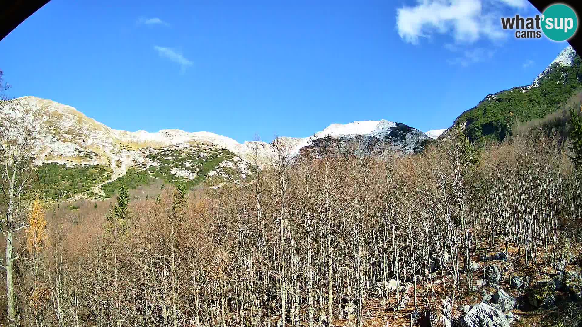 PLANINA RAZOR kamera (1315) | pogled na Vogel in Globoko