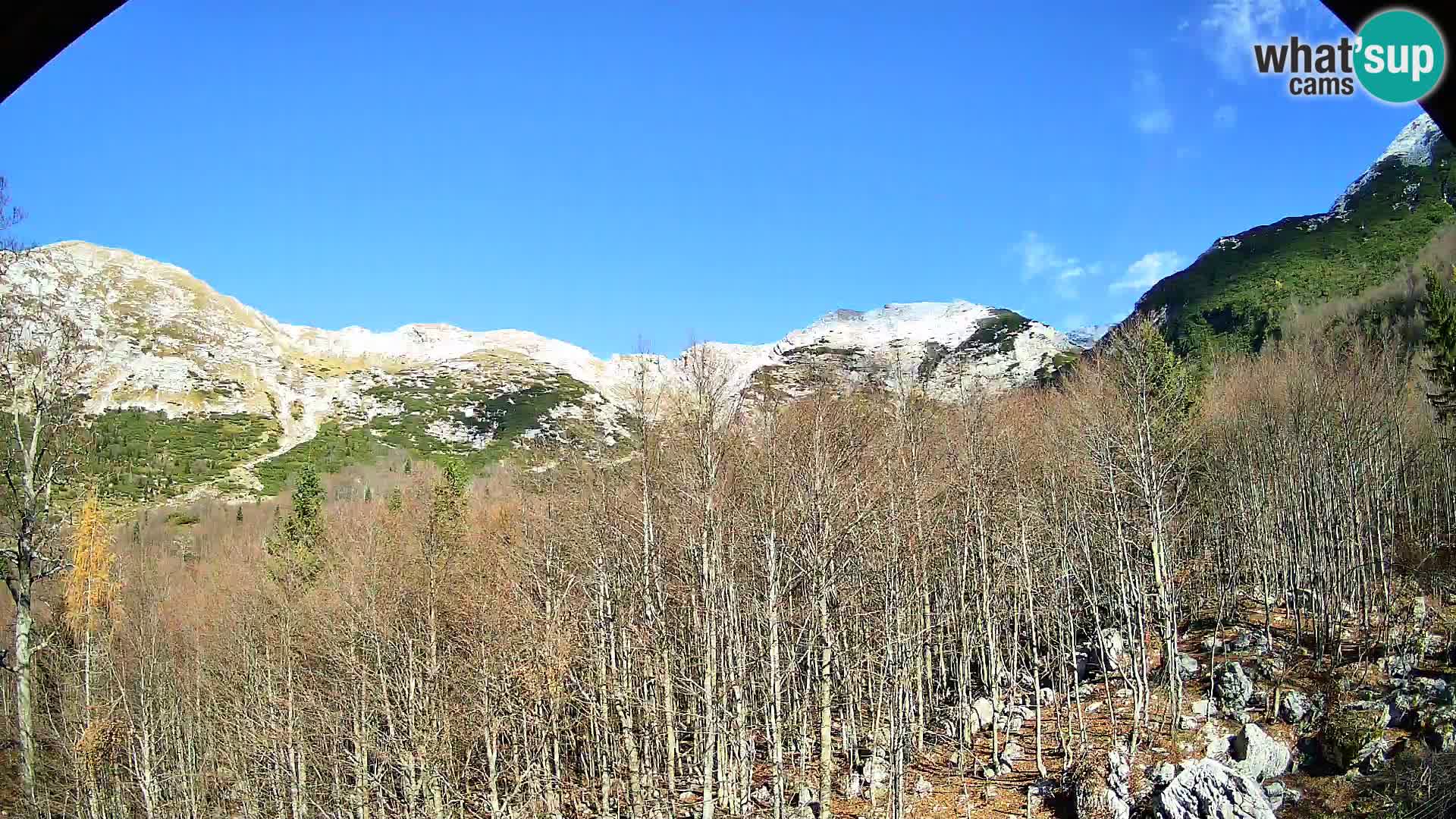 Cámara web PLANINA RAZOR (1315) | vista a Vogel y Globoko