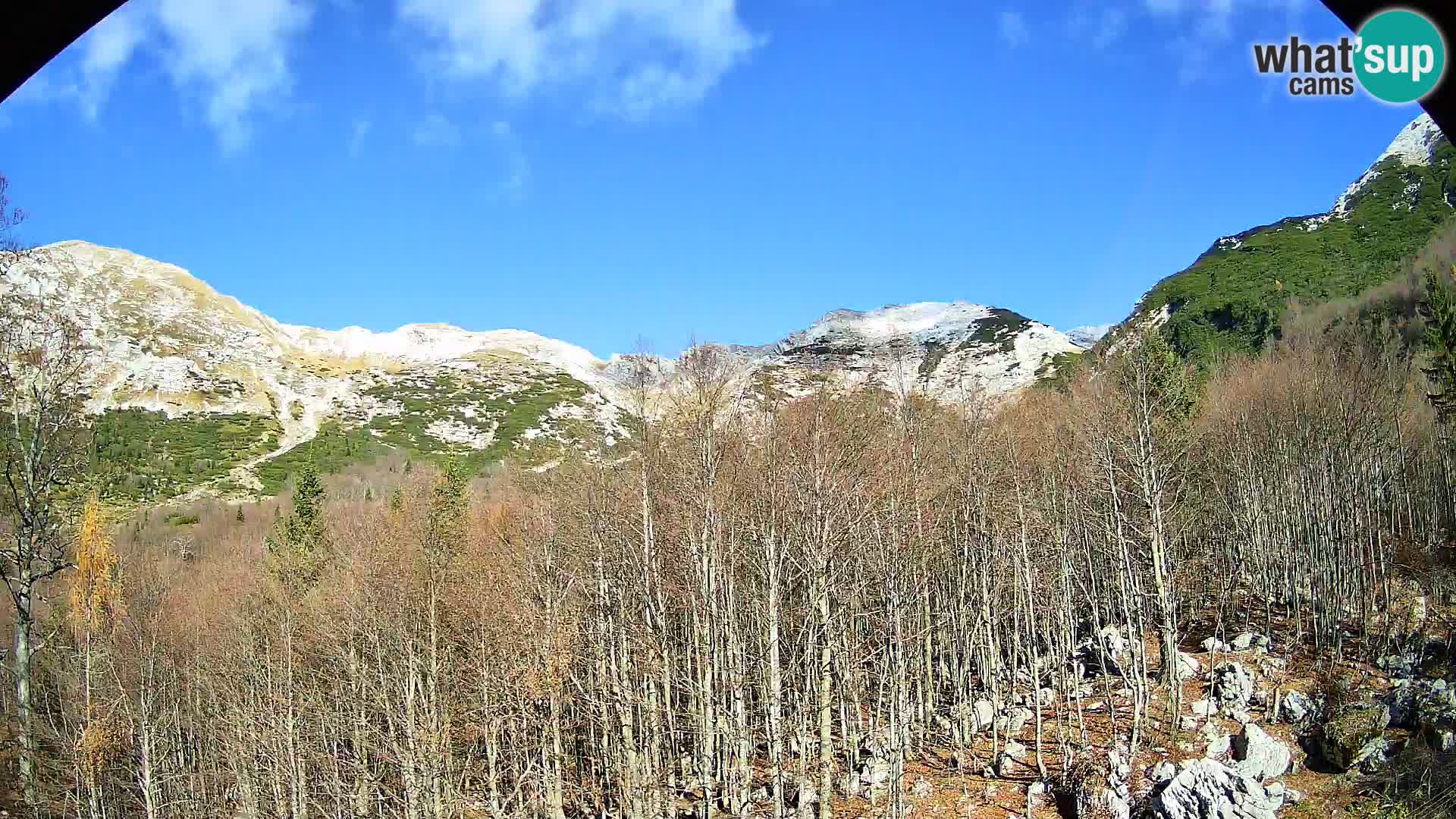 Webcam PLANINA RAZOR (1315) | Blick auf Vogel und Globoko