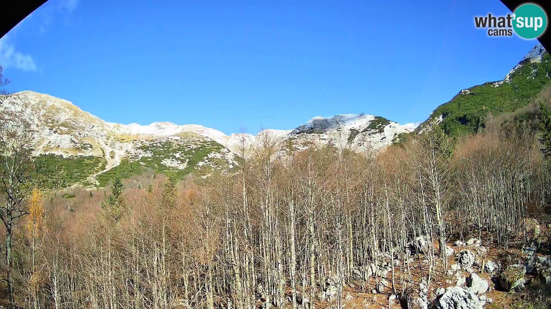 PLANINA RAZOR kamera (1315) | pogled na Vogel in Globoko