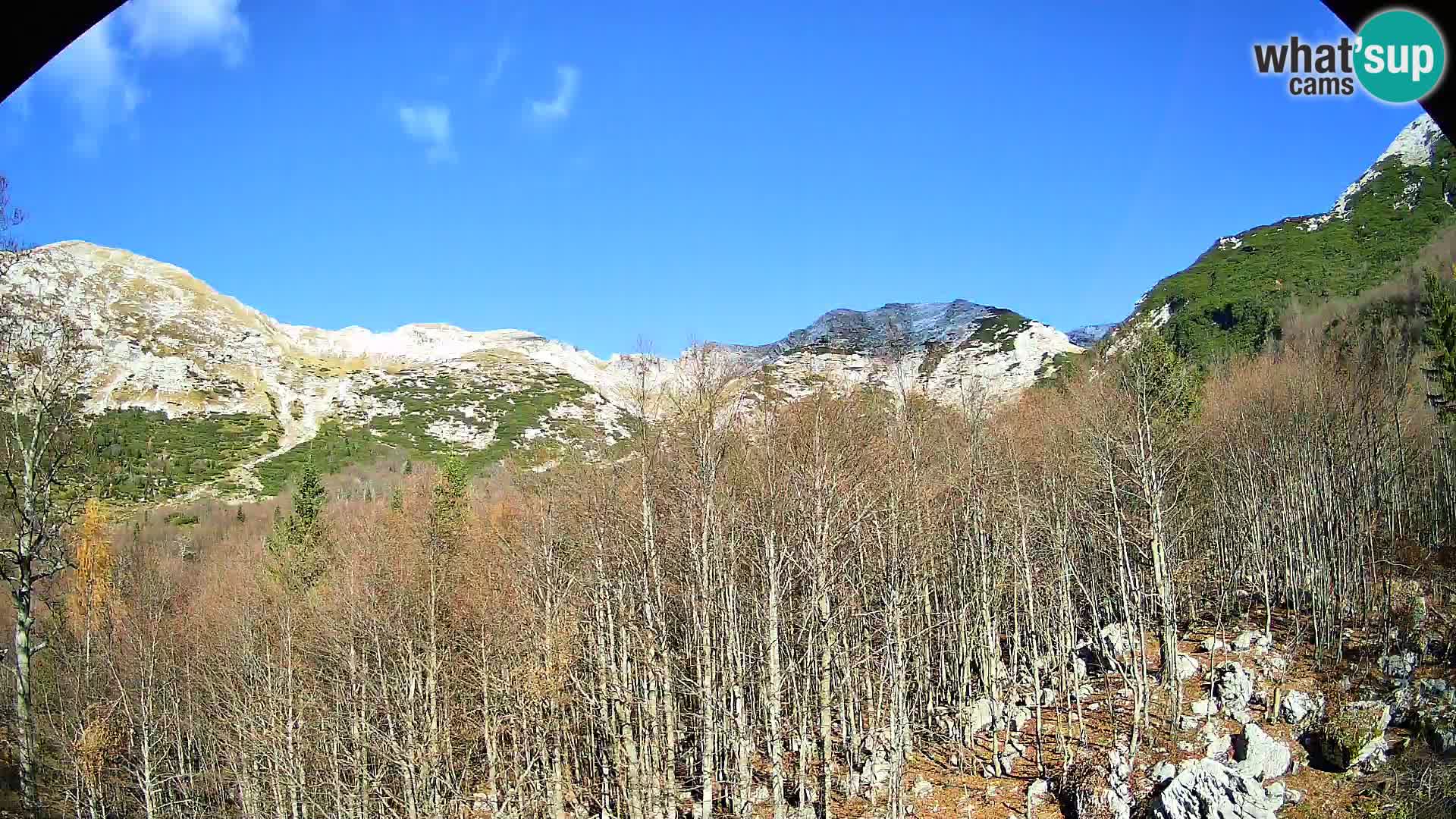 PLANINA RAZOR Live Cam (1315) | vista su Vogel e Globoko