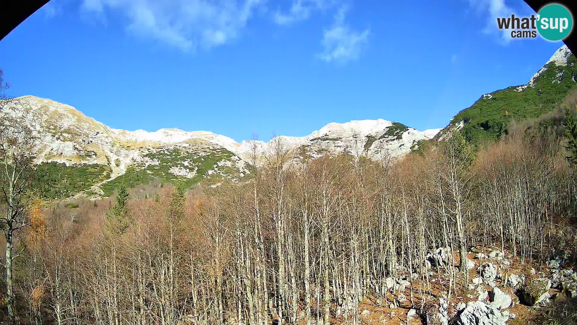 PLANINA RAZOR webcam (1315) | view to Vogel and Globoko