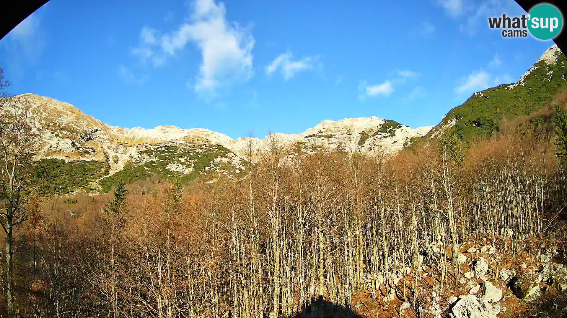Webcam PLANINA RAZOR (1315) | Blick auf Vogel und Globoko