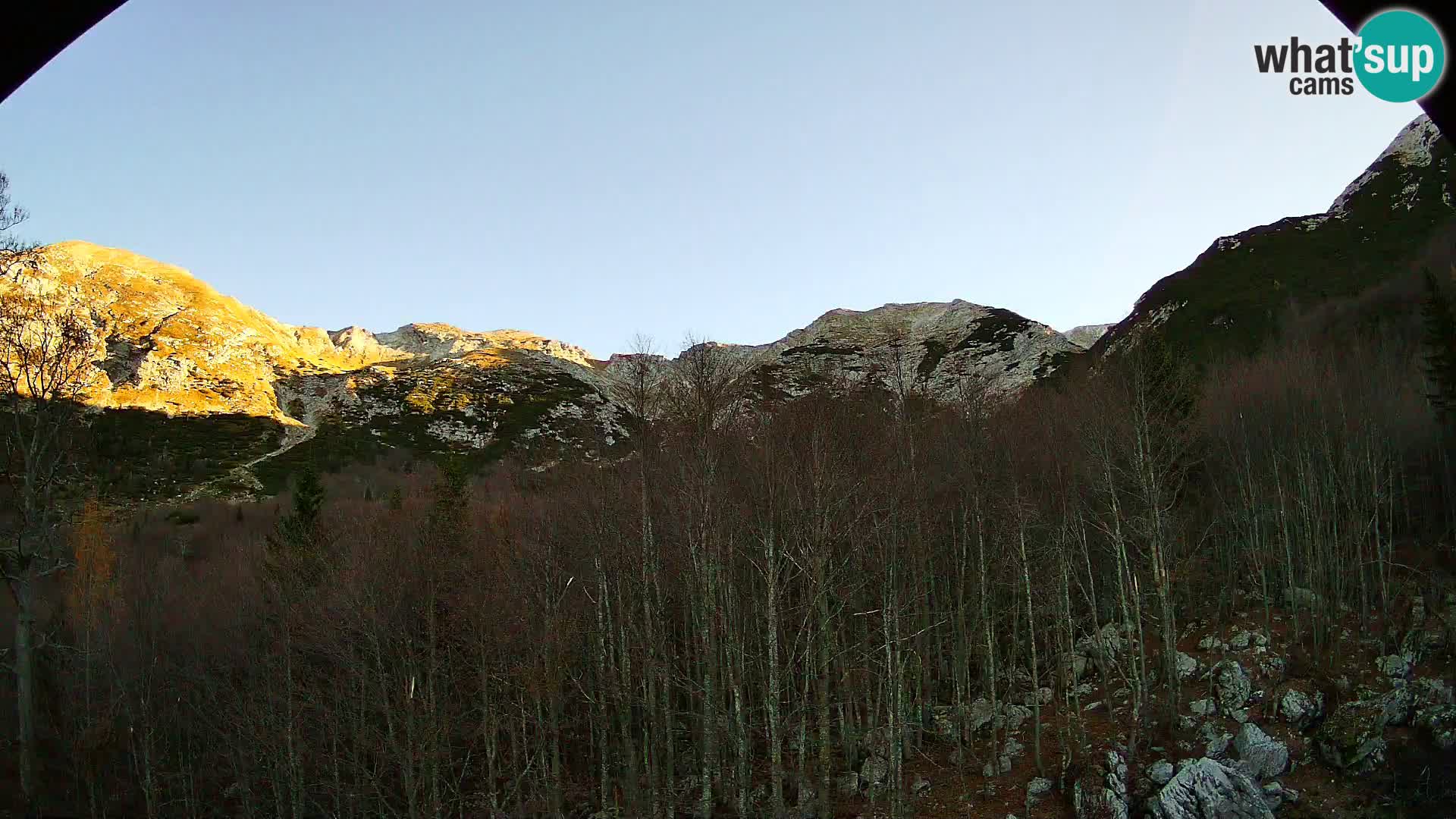 Livecam PLANINA RAZOR (1315) | vue sur Vogel et Globoko