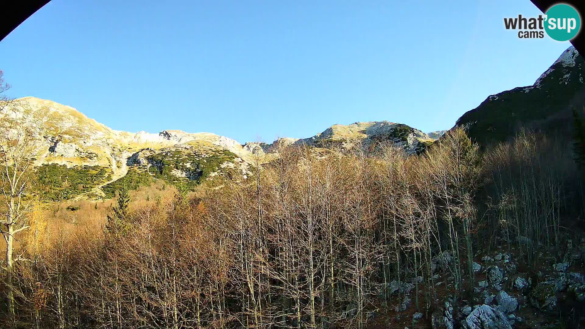 Webcam PLANINA RAZOR (1315) | Blick auf Vogel und Globoko