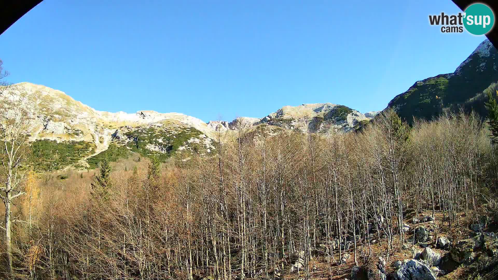 PLANINA RAZOR web kamera (1315) | pogled na Vogel i Globoko
