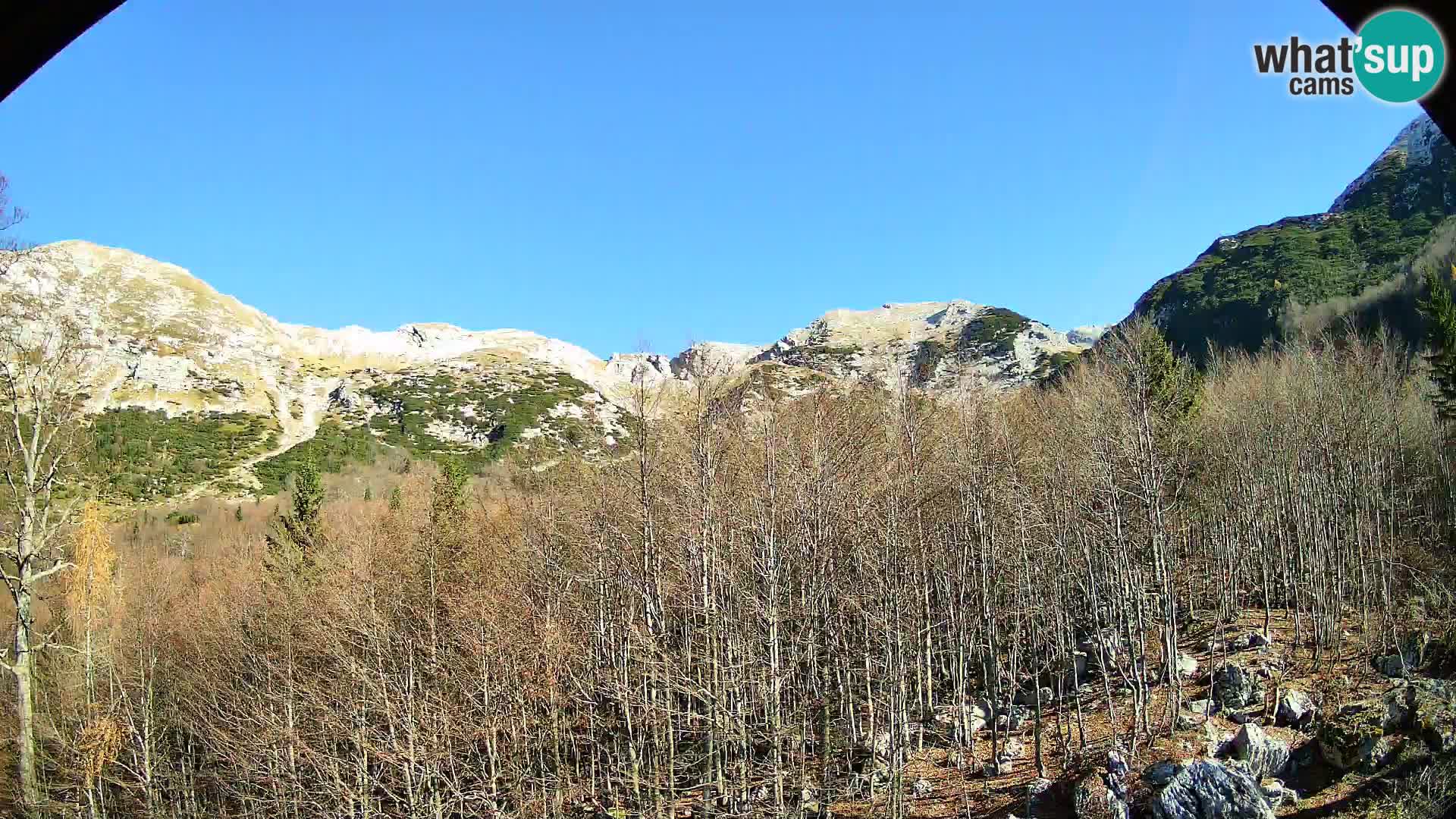 PLANINA RAZOR Live Cam (1315) | vista su Vogel e Globoko