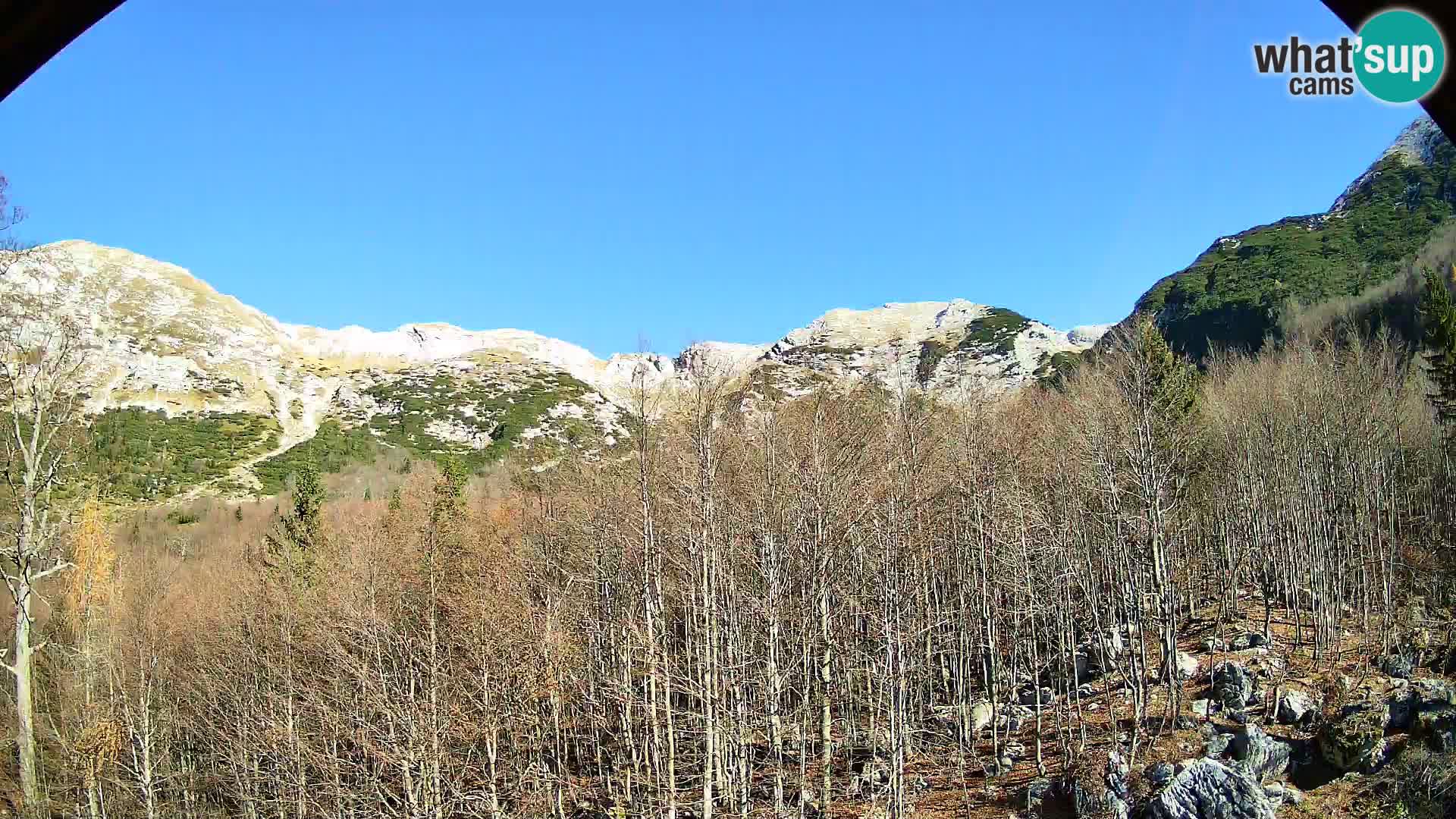 PLANINA RAZOR webcam (1315) | view to Vogel and Globoko