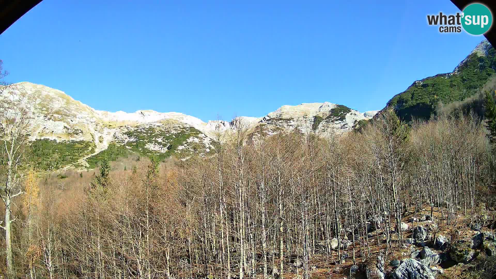 PLANINA RAZOR web kamera (1315) | pogled na Vogel i Globoko