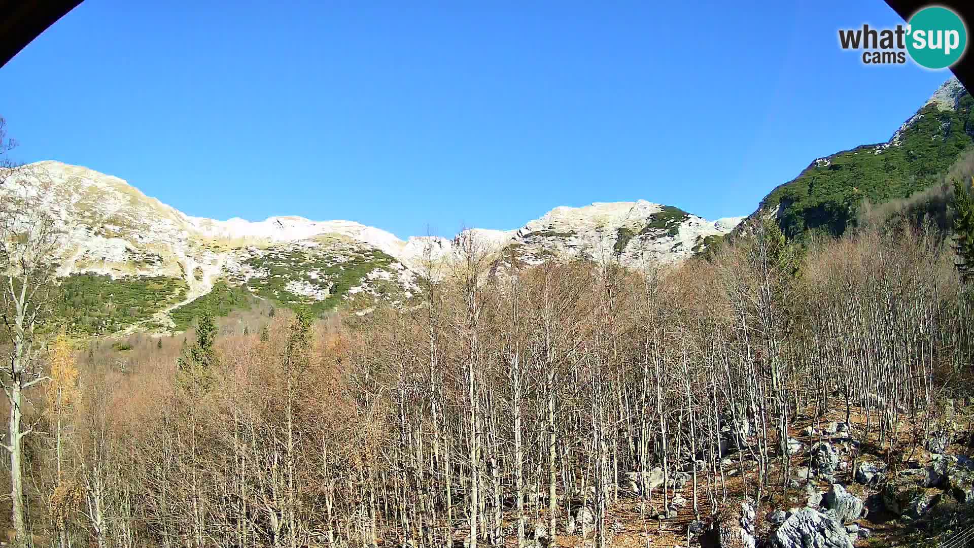 PLANINA RAZOR webcam (1315) | view to Vogel and Globoko