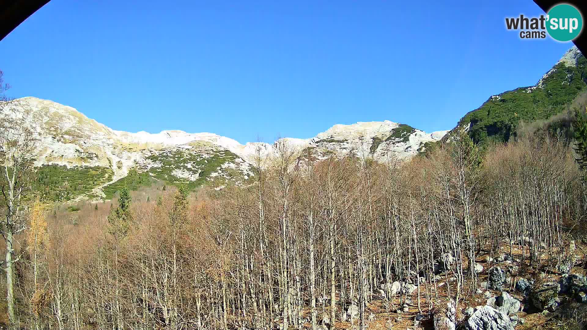 PLANINA RAZOR webcam (1315) | view to Vogel and Globoko