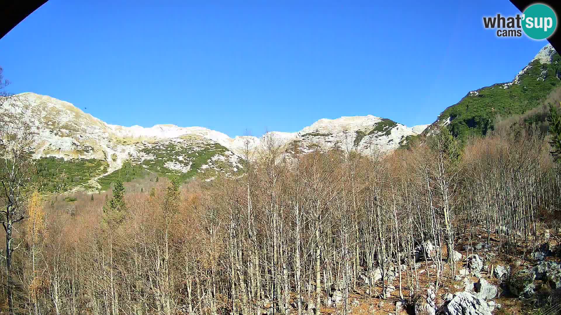 PLANINA RAZOR kamera (1315) | pogled na Vogel in Globoko