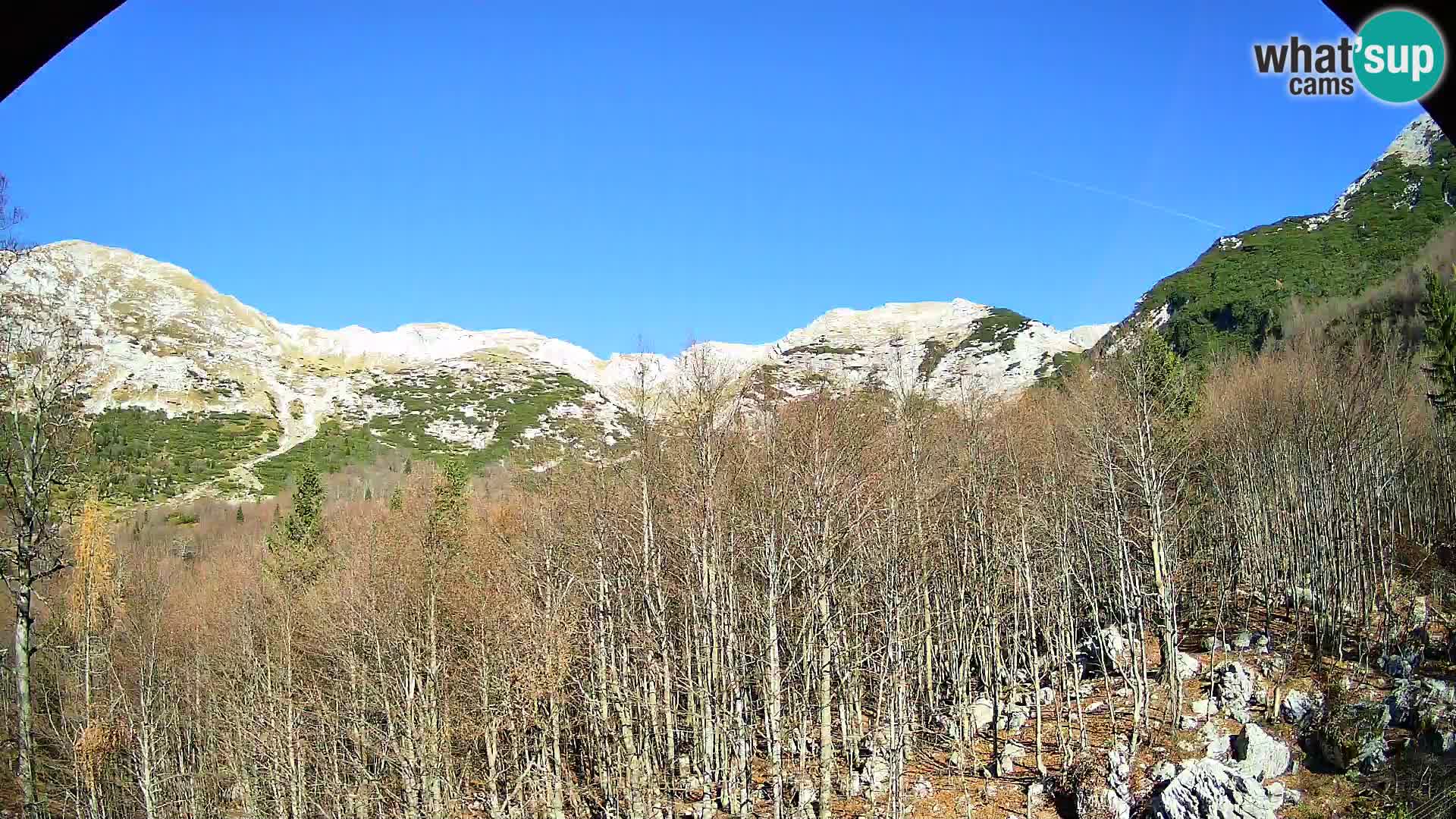 Webcam PLANINA RAZOR (1315) | Blick auf Vogel und Globoko