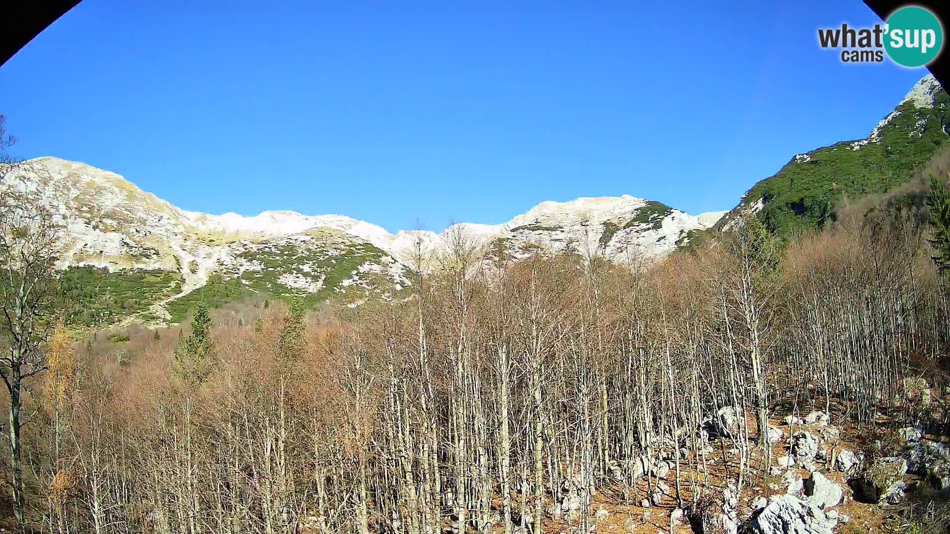 PLANINA RAZOR kamera (1315) | pogled na Vogel in Globoko