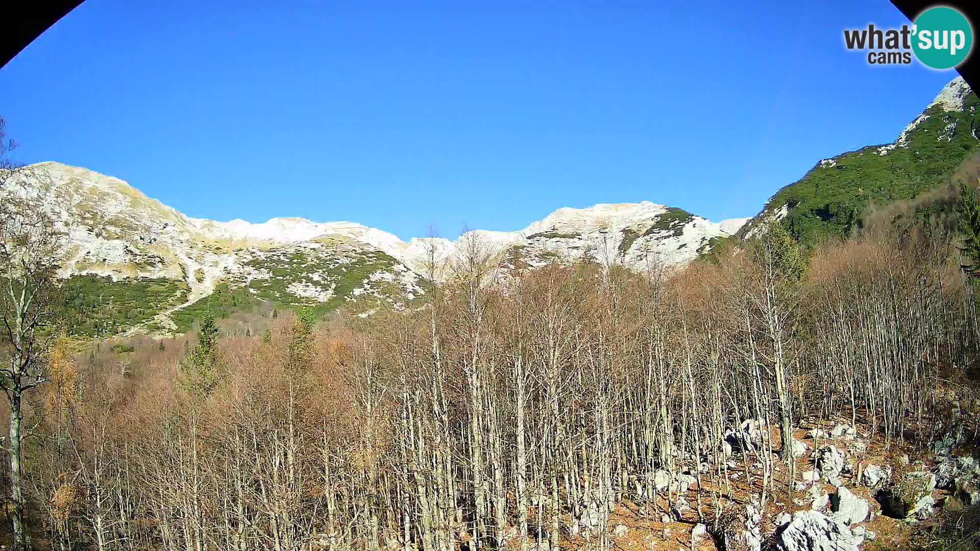 Cámara web PLANINA RAZOR (1315) | vista a Vogel y Globoko