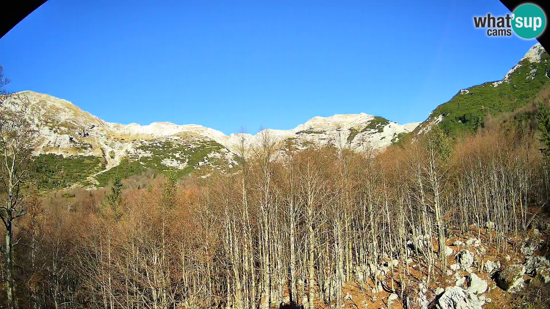 PLANINA RAZOR Live Cam (1315) | vista su Vogel e Globoko