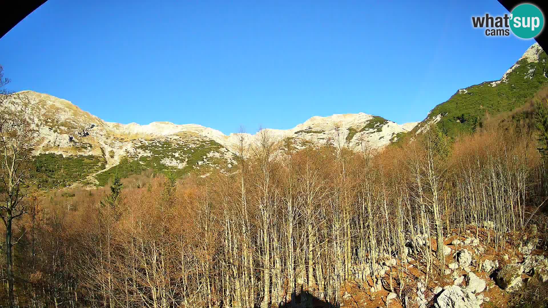 PLANINA RAZOR web kamera (1315) | pogled na Vogel i Globoko