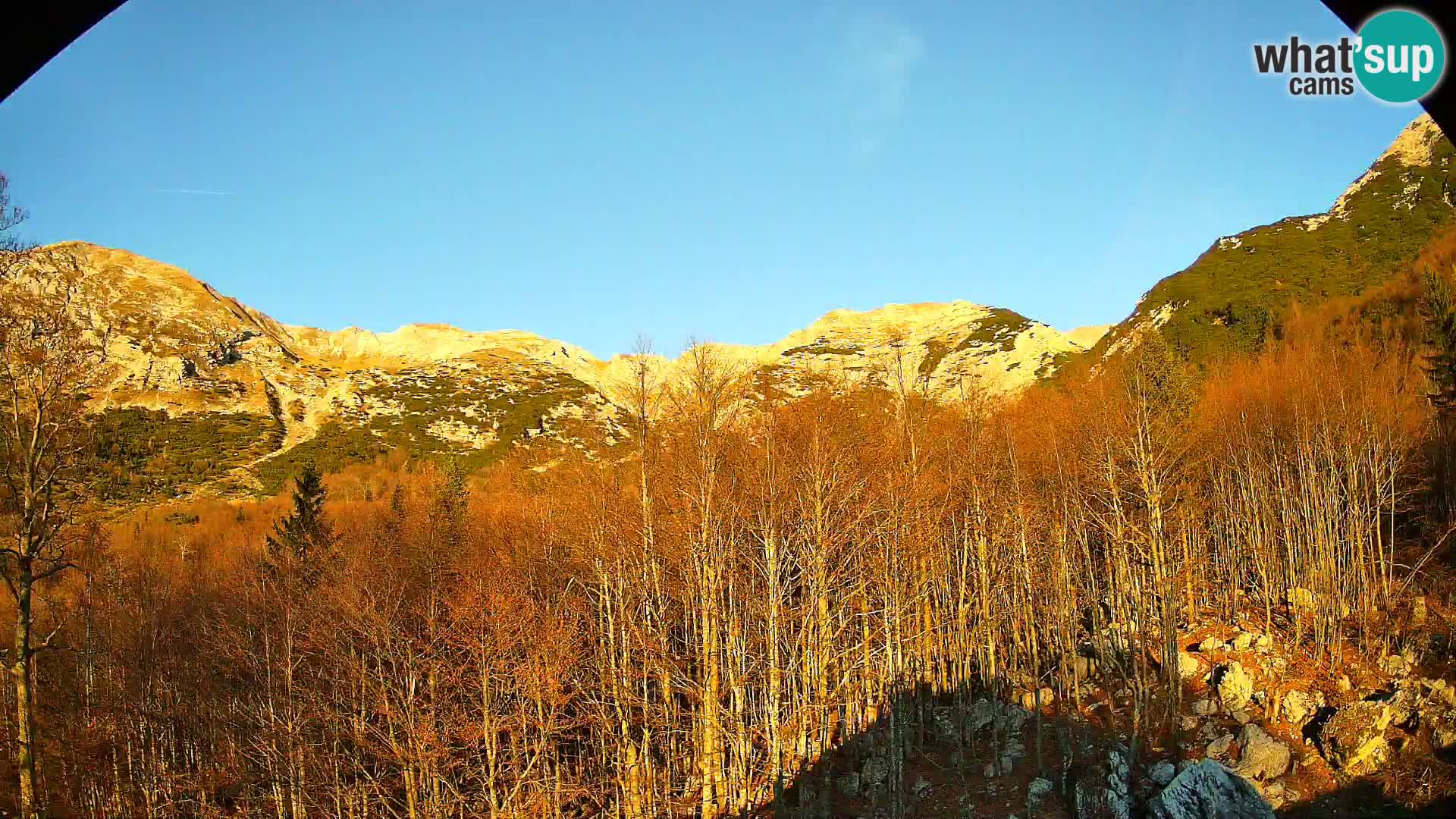 PLANINA RAZOR webcam (1315) | view to Vogel and Globoko