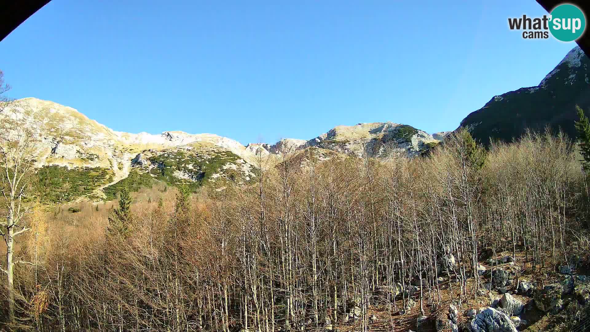 PLANINA RAZOR Live Cam (1315) | vista su Vogel e Globoko