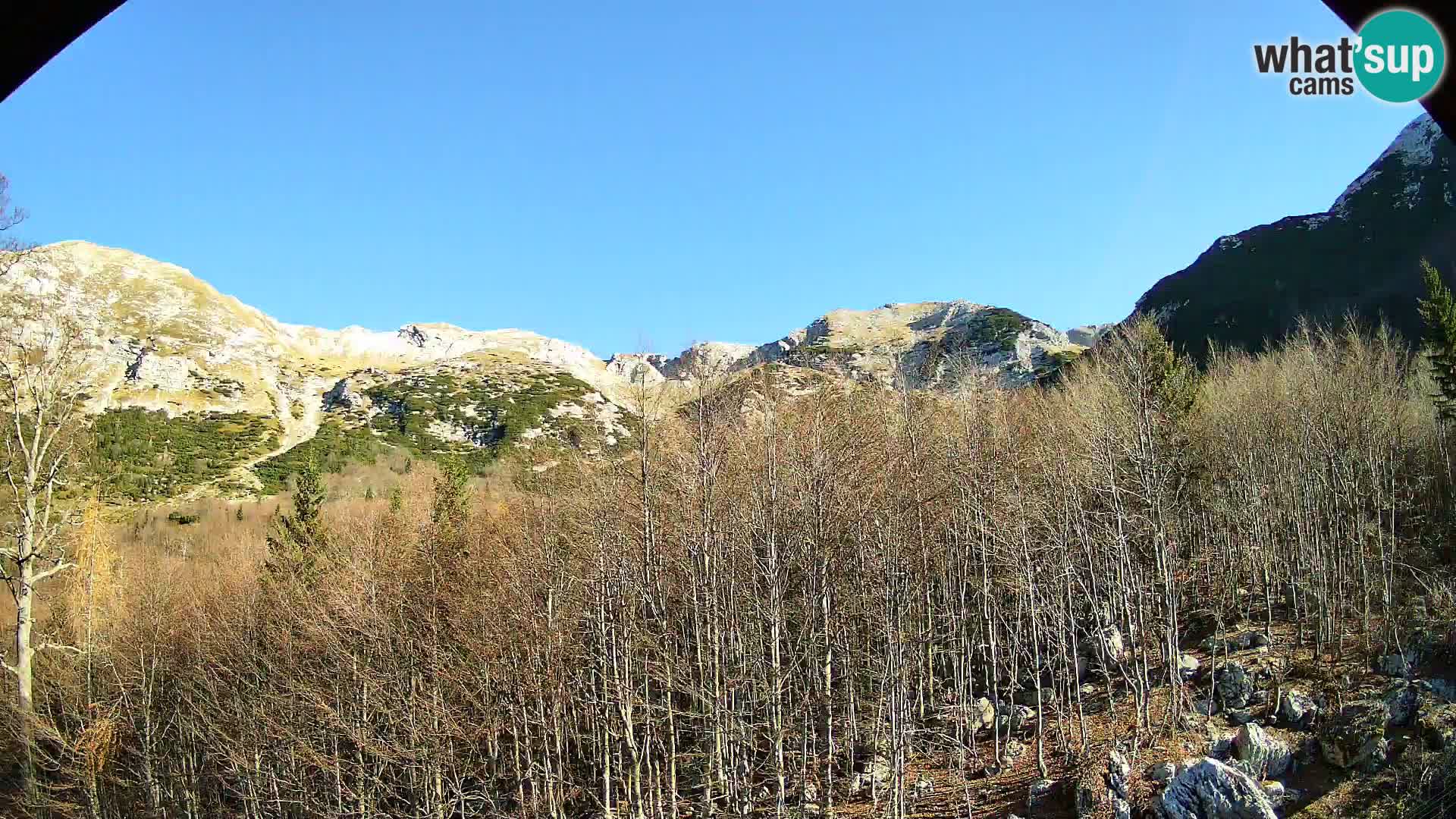 PLANINA RAZOR webcam (1315) | view to Vogel and Globoko