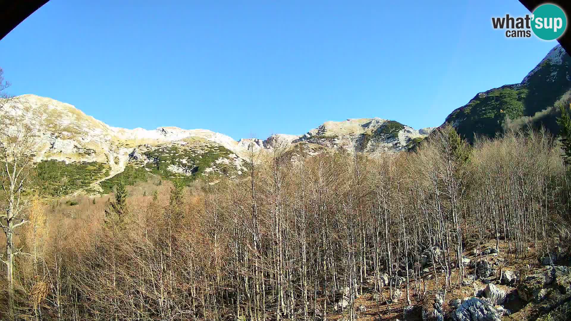 PLANINA RAZOR web kamera (1315) | pogled na Vogel i Globoko