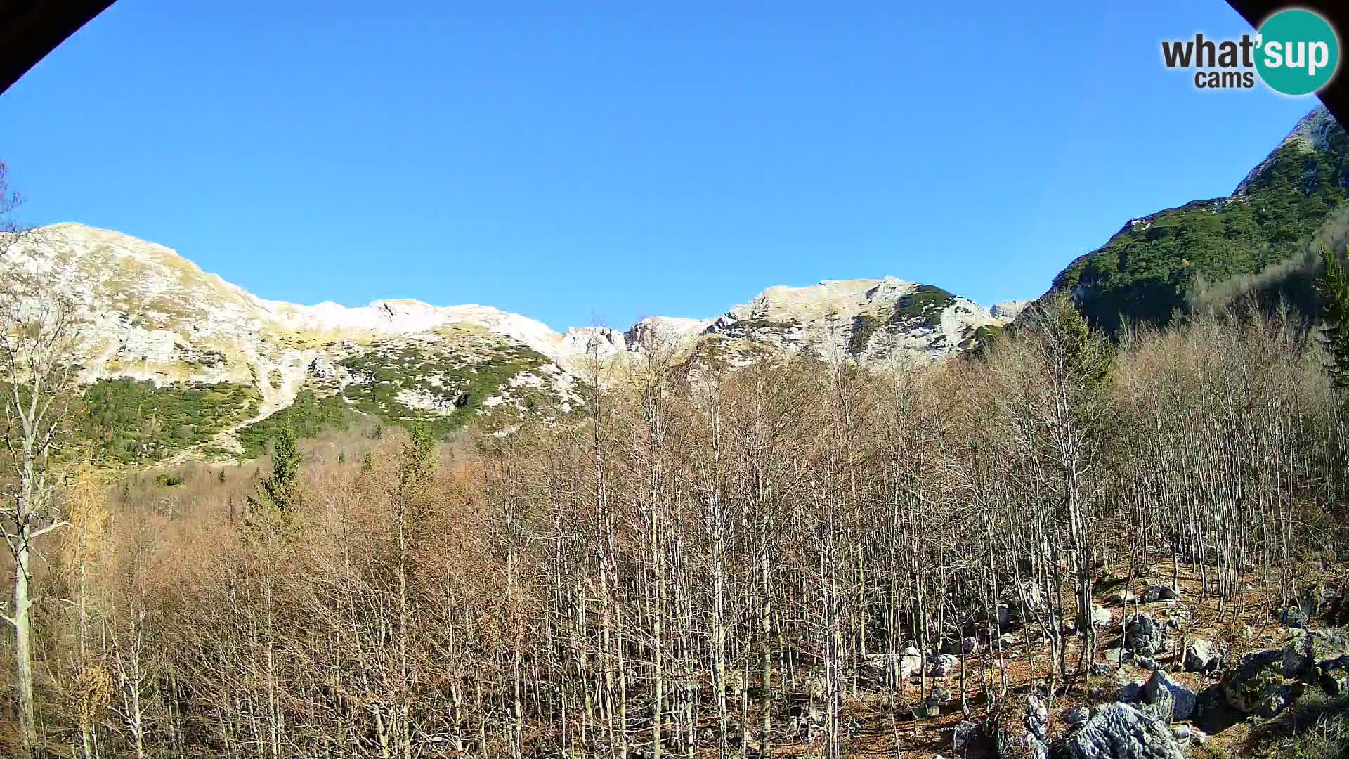 PLANINA RAZOR kamera (1315) | pogled na Vogel in Globoko