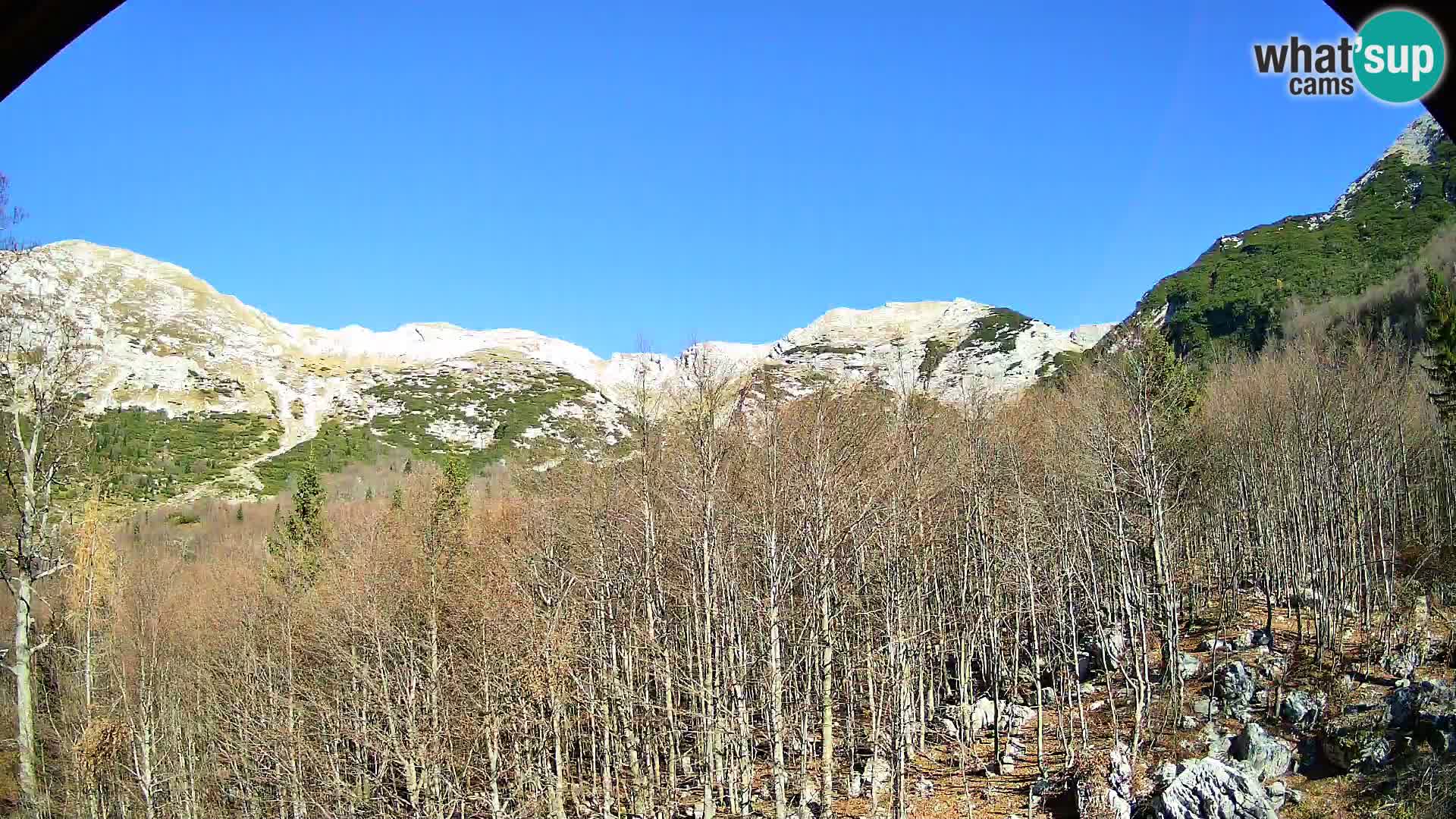 PLANINA RAZOR Live Cam (1315) | vista su Vogel e Globoko