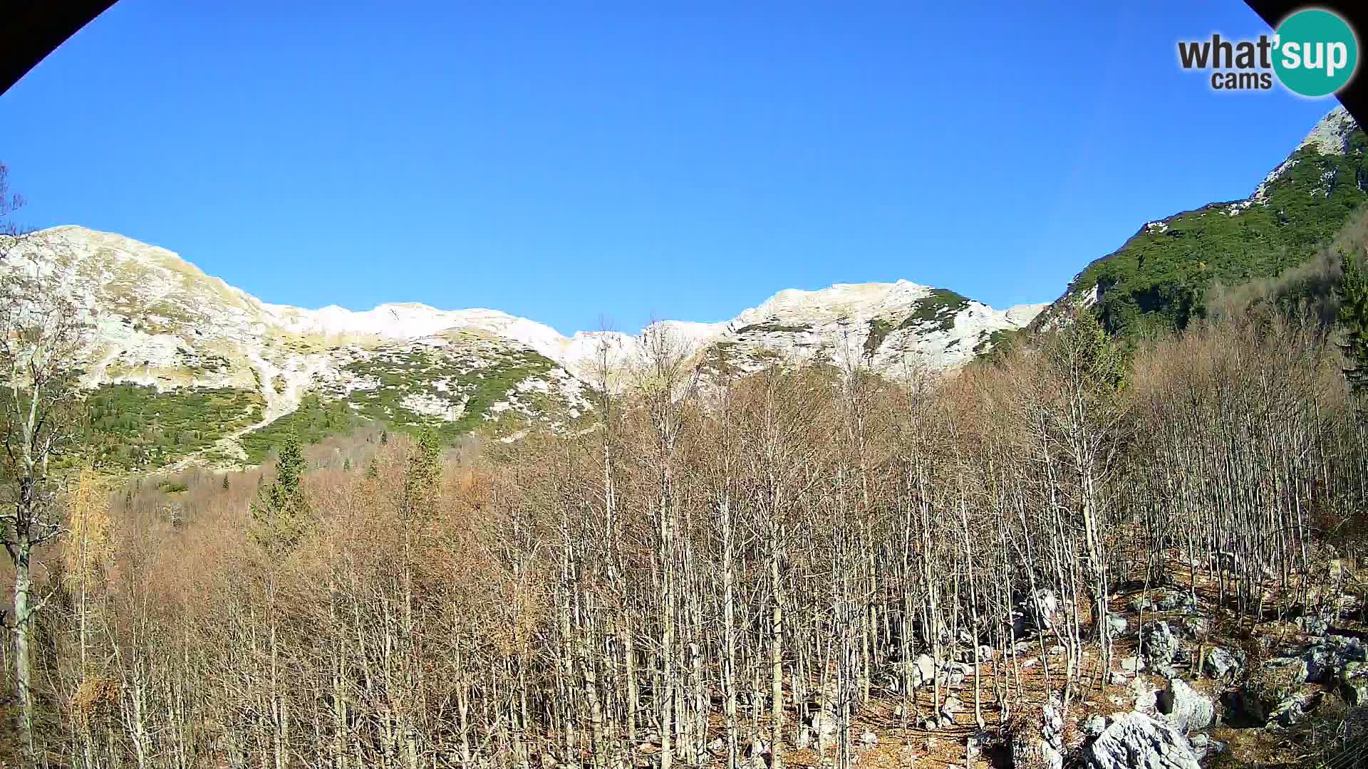 PLANINA RAZOR web kamera (1315) | pogled na Vogel i Globoko
