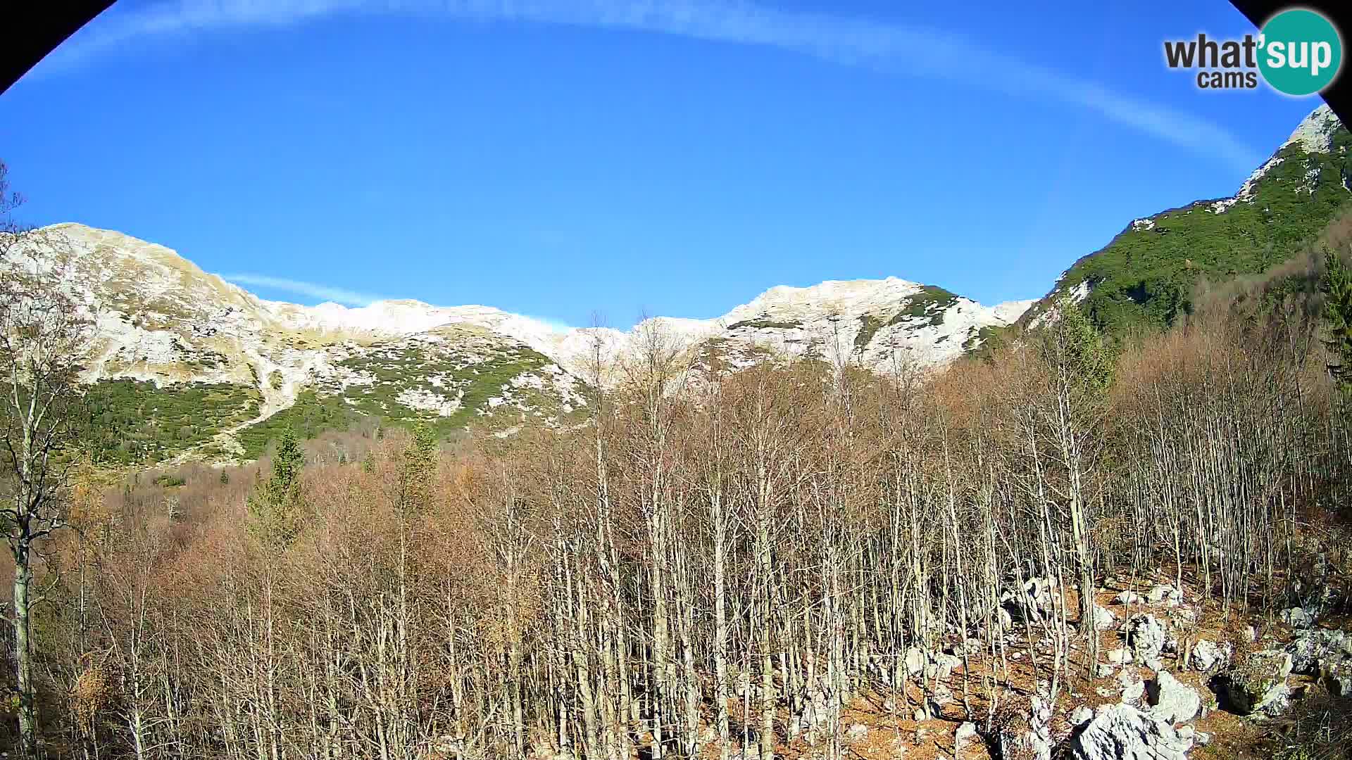 PLANINA RAZOR web kamera (1315) | pogled na Vogel i Globoko