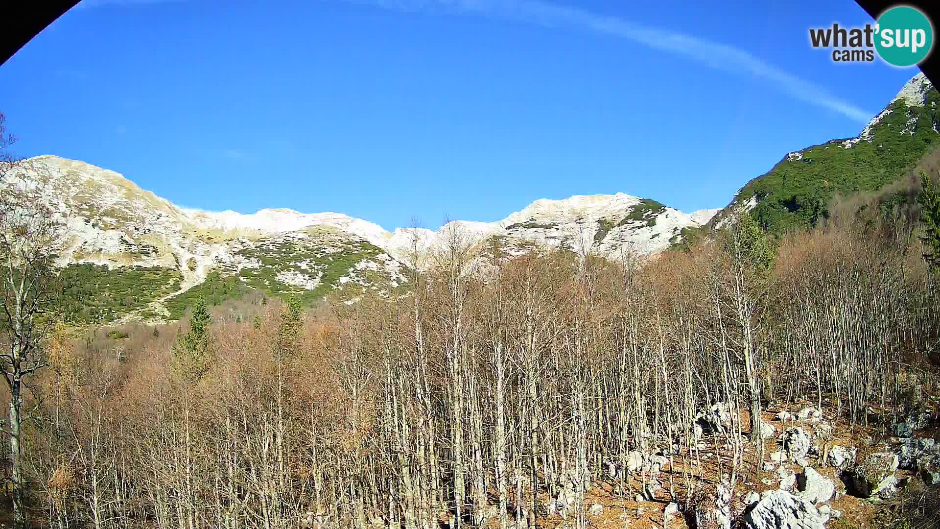 Webcam PLANINA RAZOR (1315) | Blick auf Vogel und Globoko