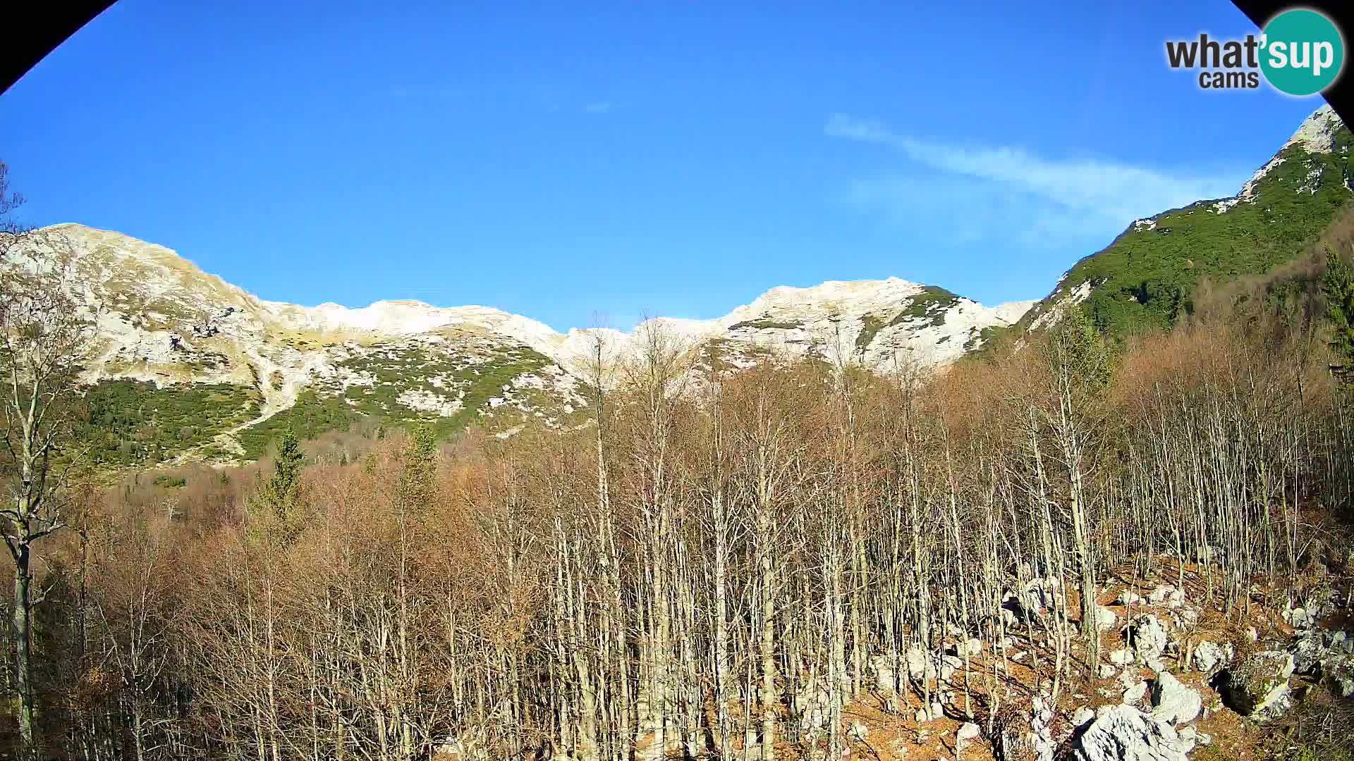 Livecam PLANINA RAZOR (1315) | vue sur Vogel et Globoko