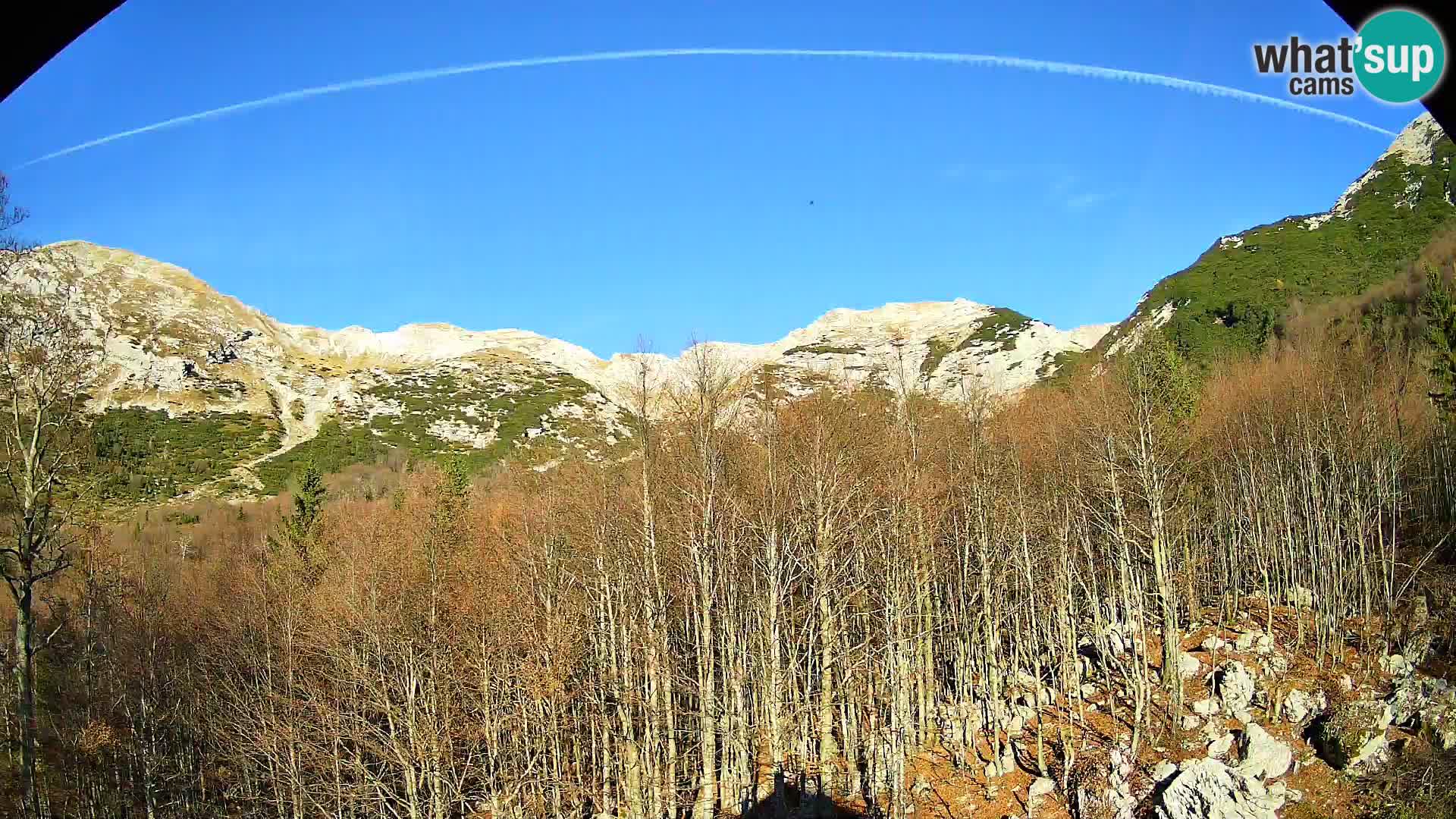 Cámara web PLANINA RAZOR (1315) | vista a Vogel y Globoko