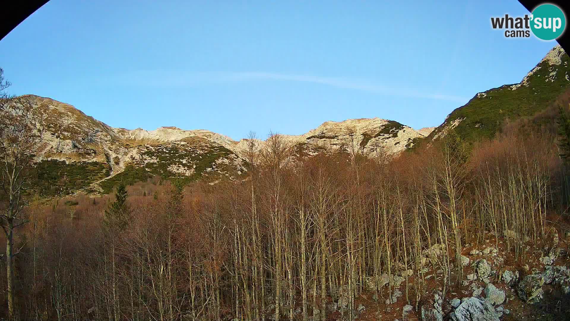 Livecam PLANINA RAZOR (1315) | vue sur Vogel et Globoko
