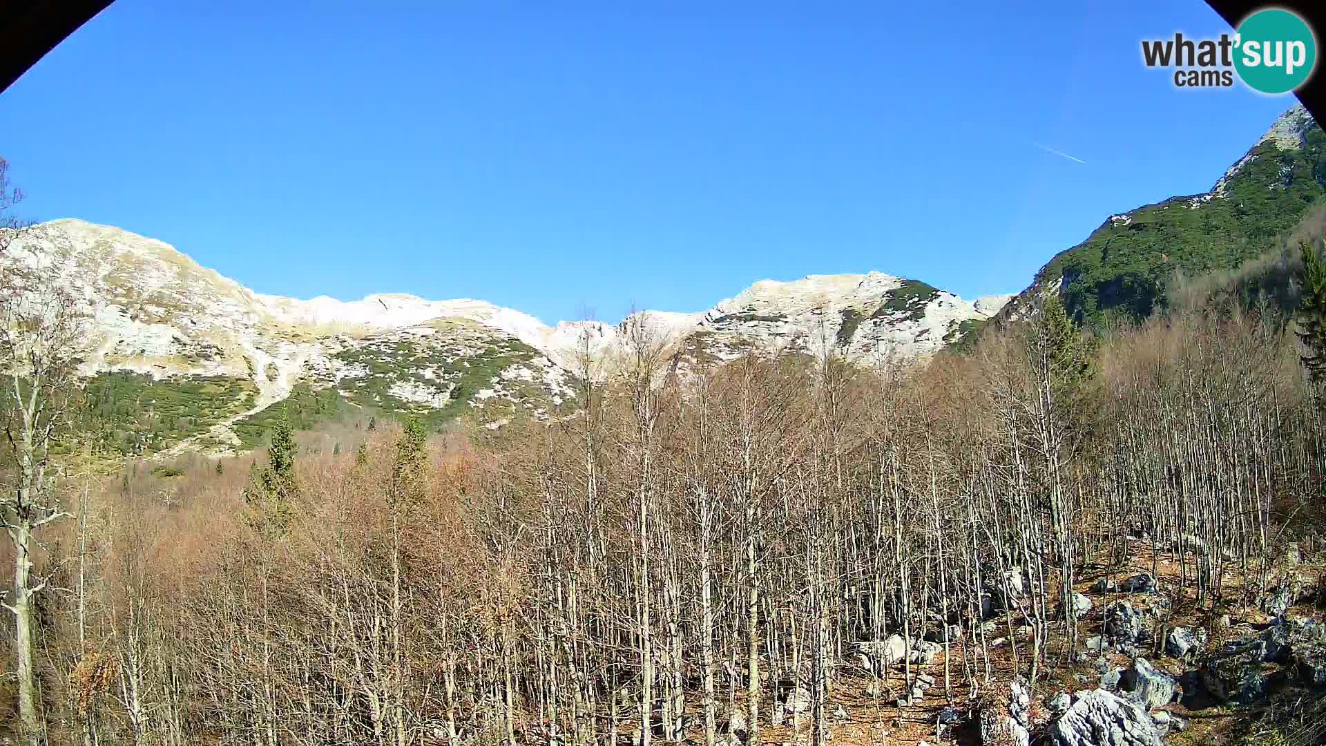 PLANINA RAZOR Live Cam (1315) | vista su Vogel e Globoko