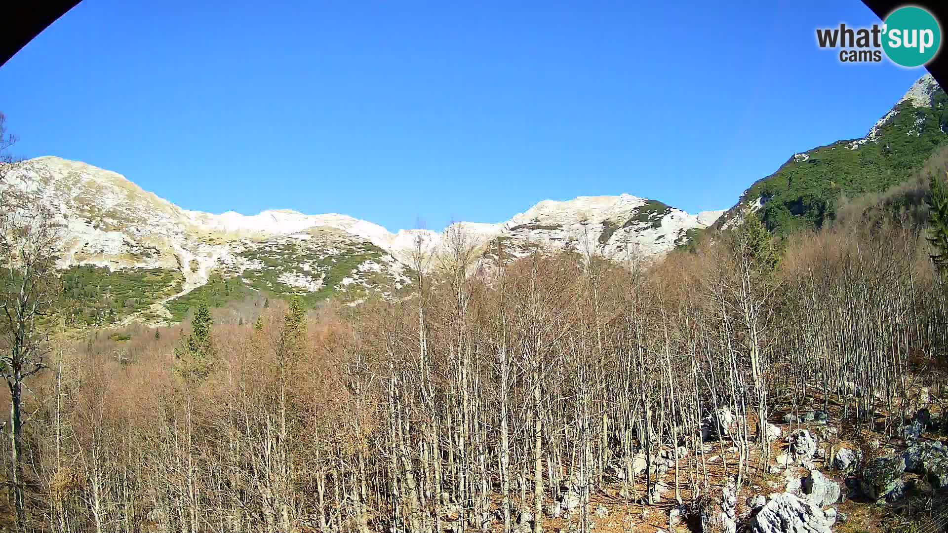 PLANINA RAZOR Live Cam (1315) | vista su Vogel e Globoko