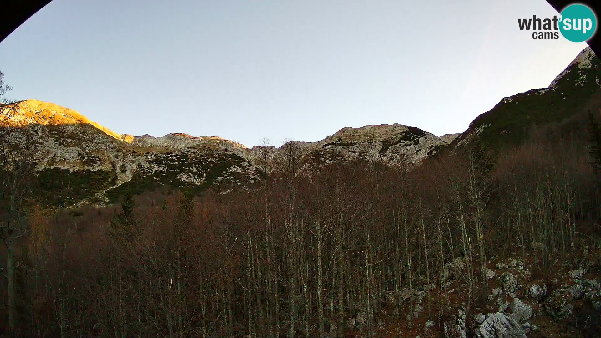 Webcam PLANINA RAZOR (1315) | Blick auf Vogel und Globoko