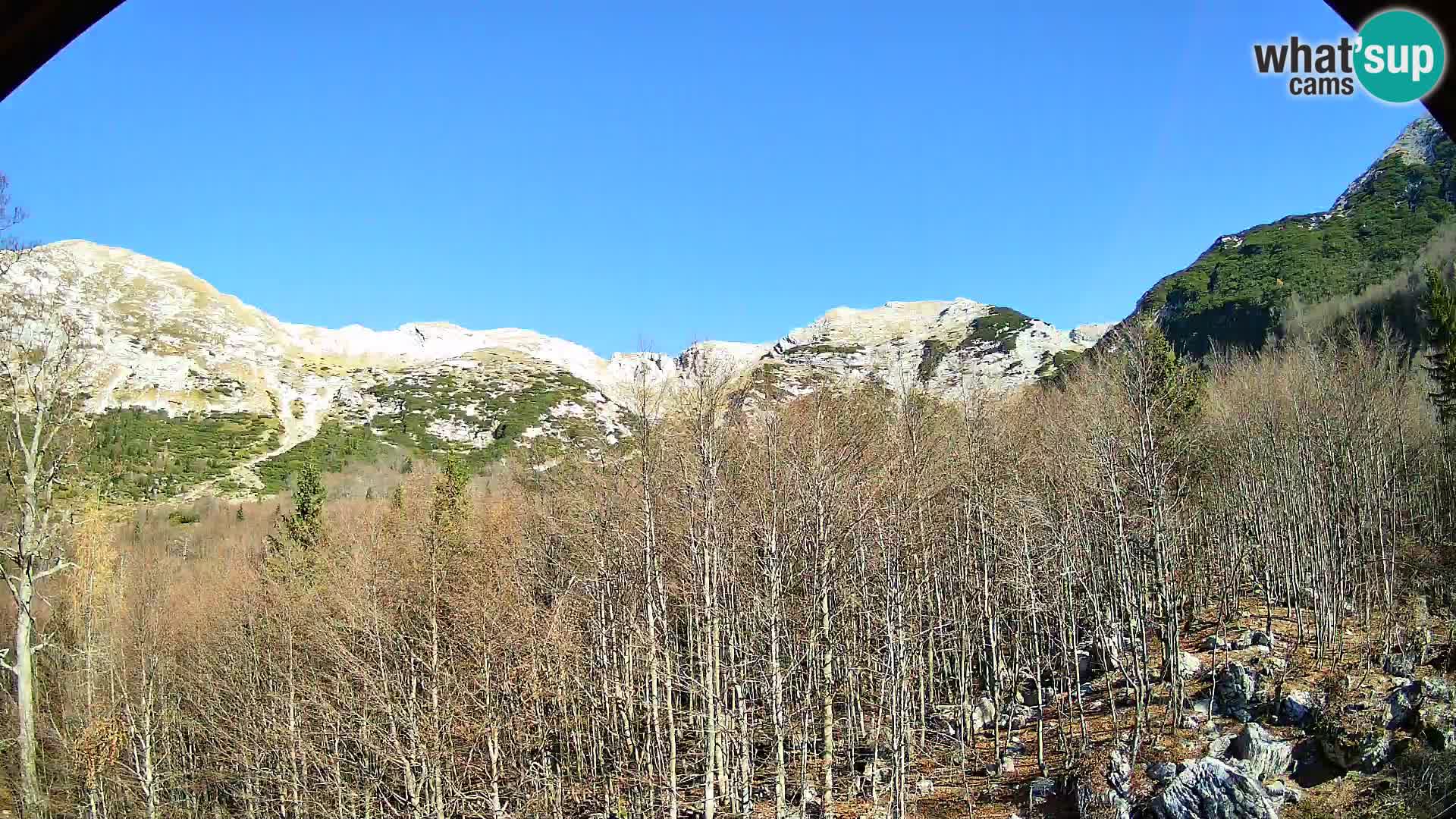 PLANINA RAZOR web kamera (1315) | pogled na Vogel i Globoko