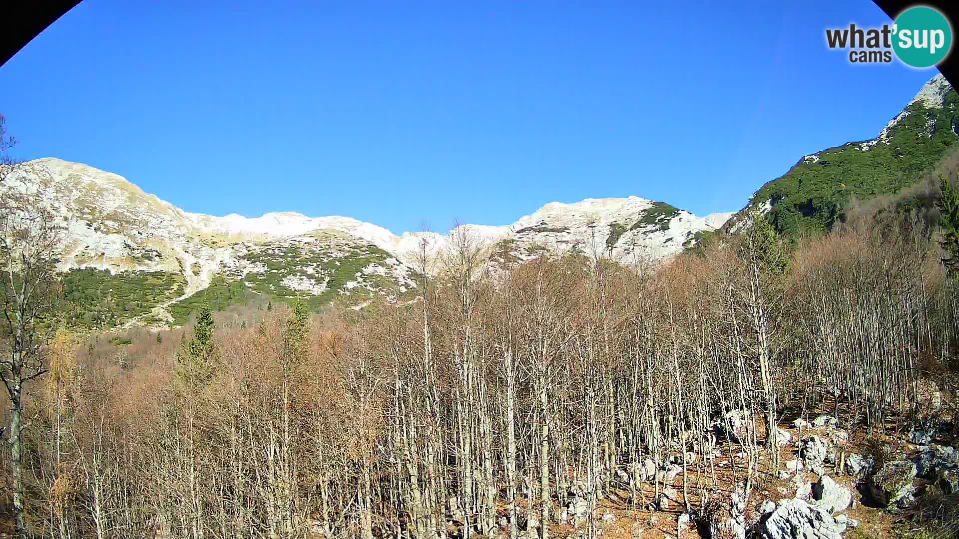 PLANINA RAZOR webcam (1315) | view to Vogel and Globoko