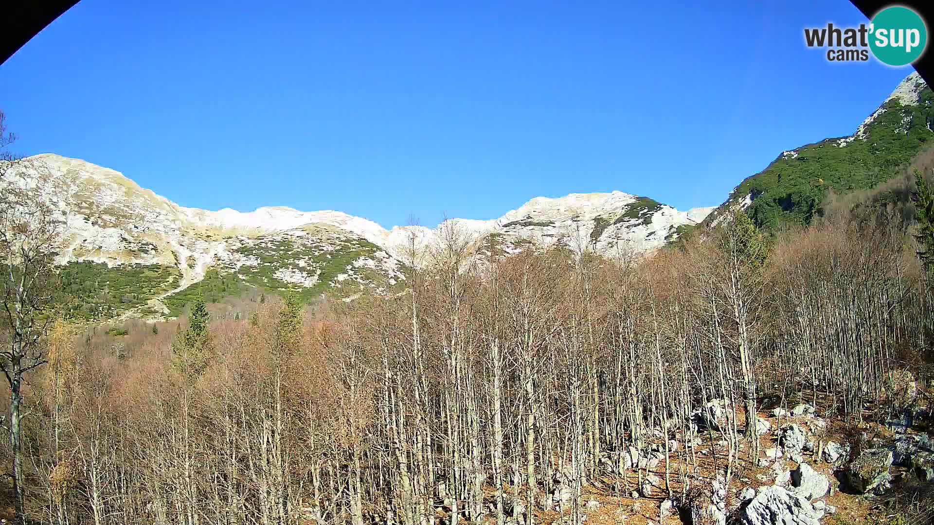 Cámara web PLANINA RAZOR (1315) | vista a Vogel y Globoko