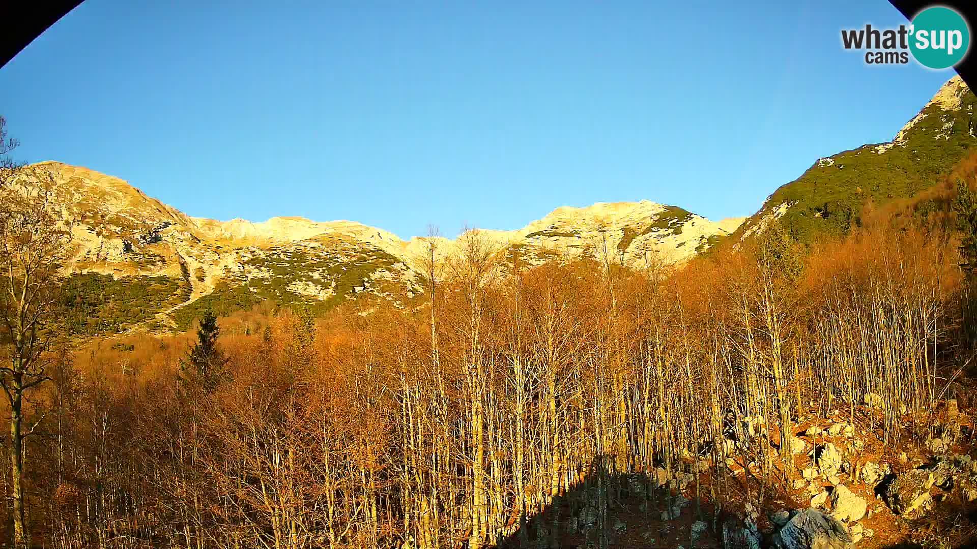 PLANINA RAZOR webcam (1315) | view to Vogel and Globoko