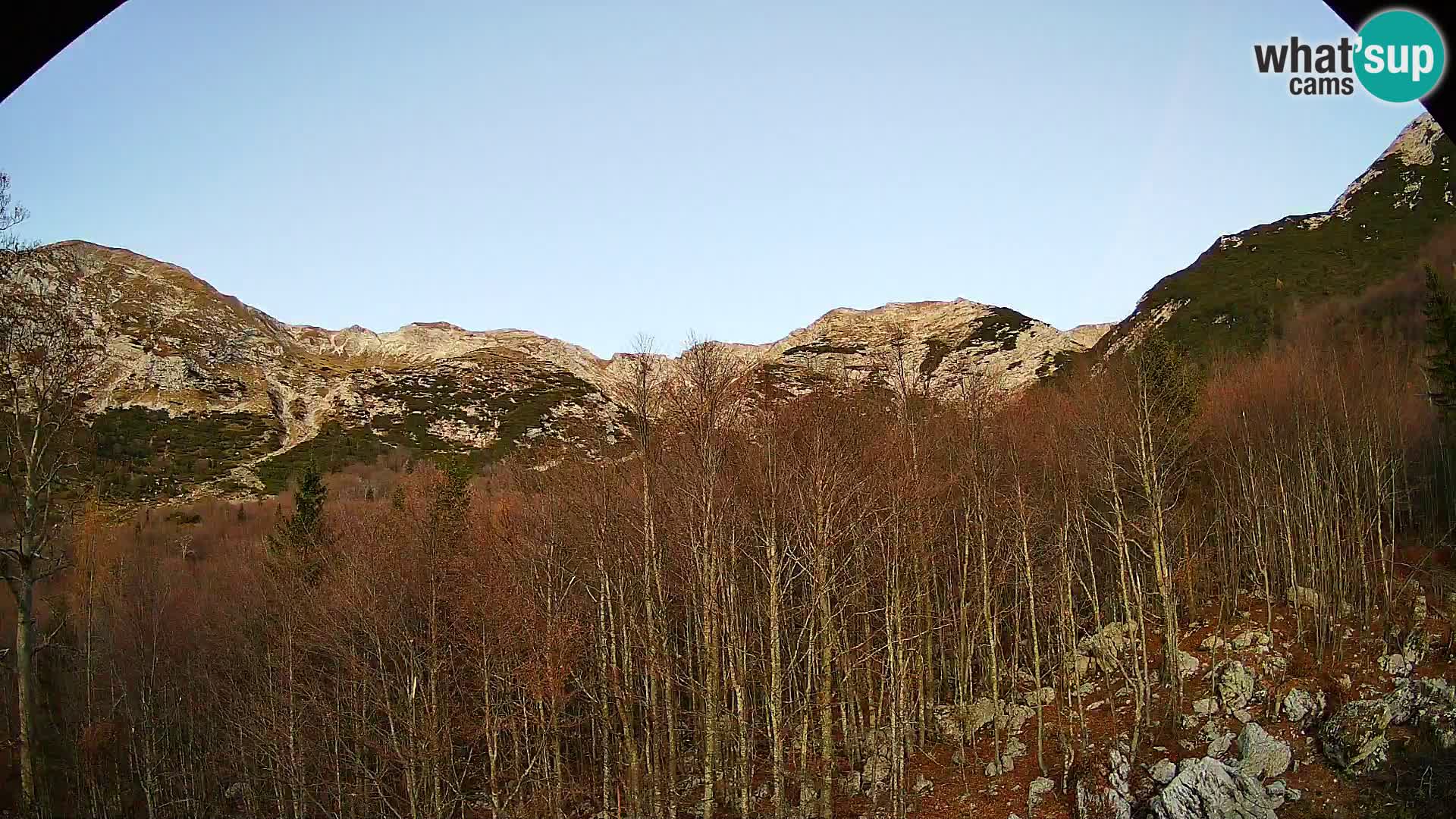 Livecam PLANINA RAZOR (1315) | vue sur Vogel et Globoko
