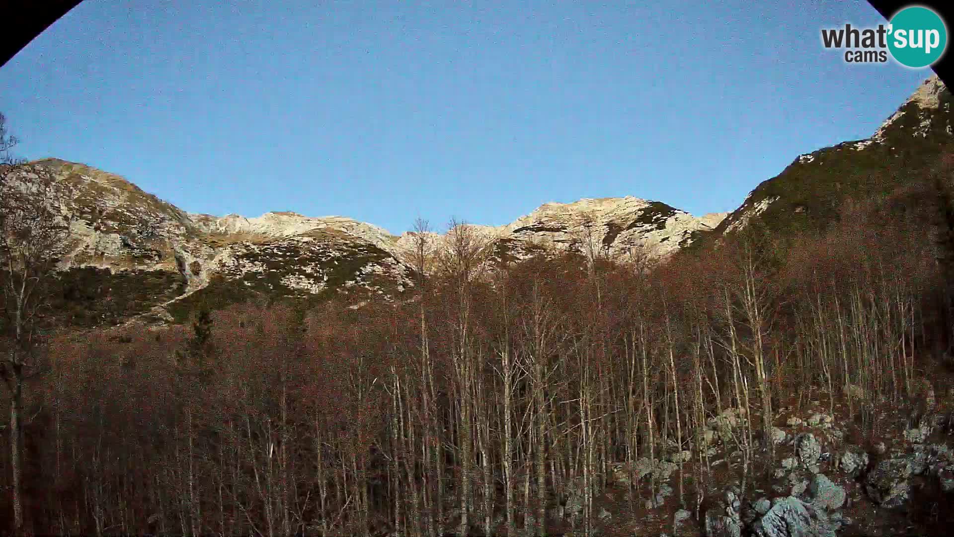 PLANINA RAZOR Live Cam (1315) | vista su Vogel e Globoko