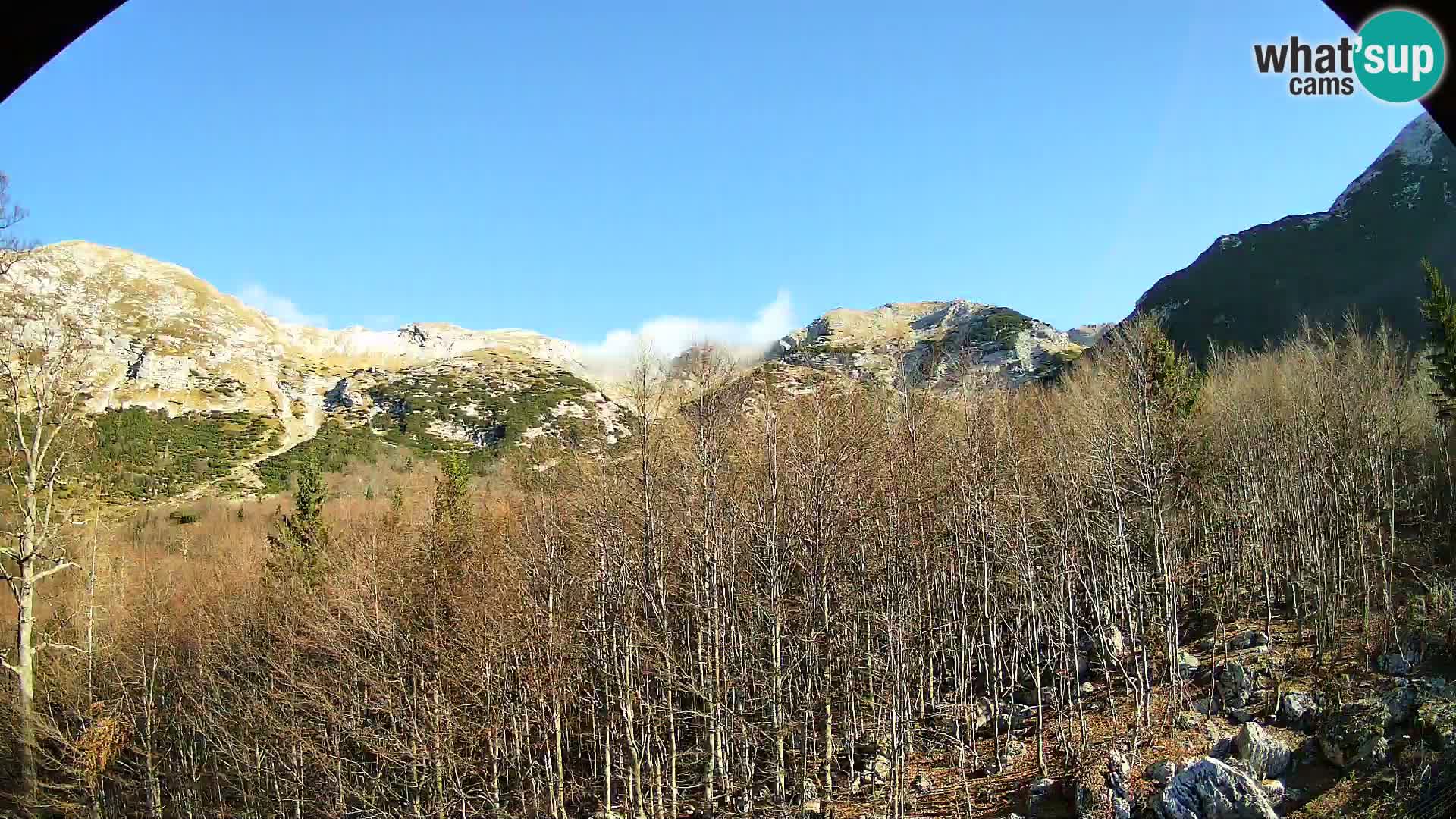 PLANINA RAZOR Live Cam (1315) | vista su Vogel e Globoko