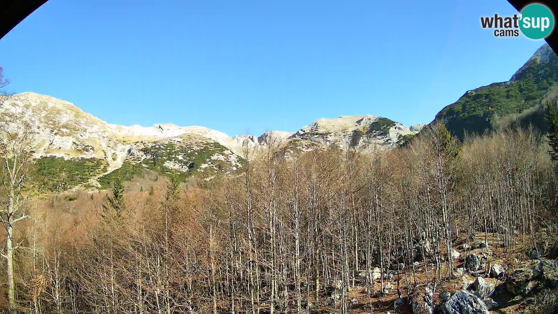 PLANINA RAZOR kamera (1315) | pogled na Vogel in Globoko