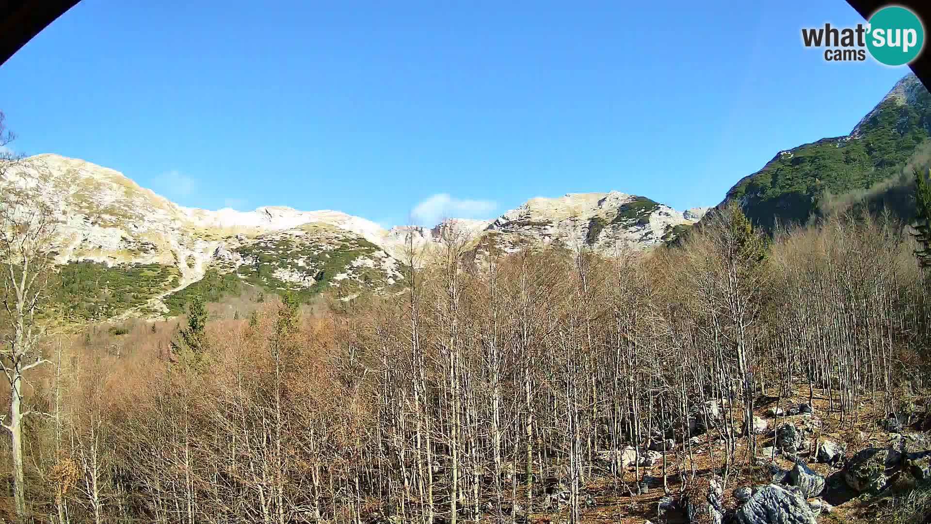 PLANINA RAZOR webcam (1315) | view to Vogel and Globoko