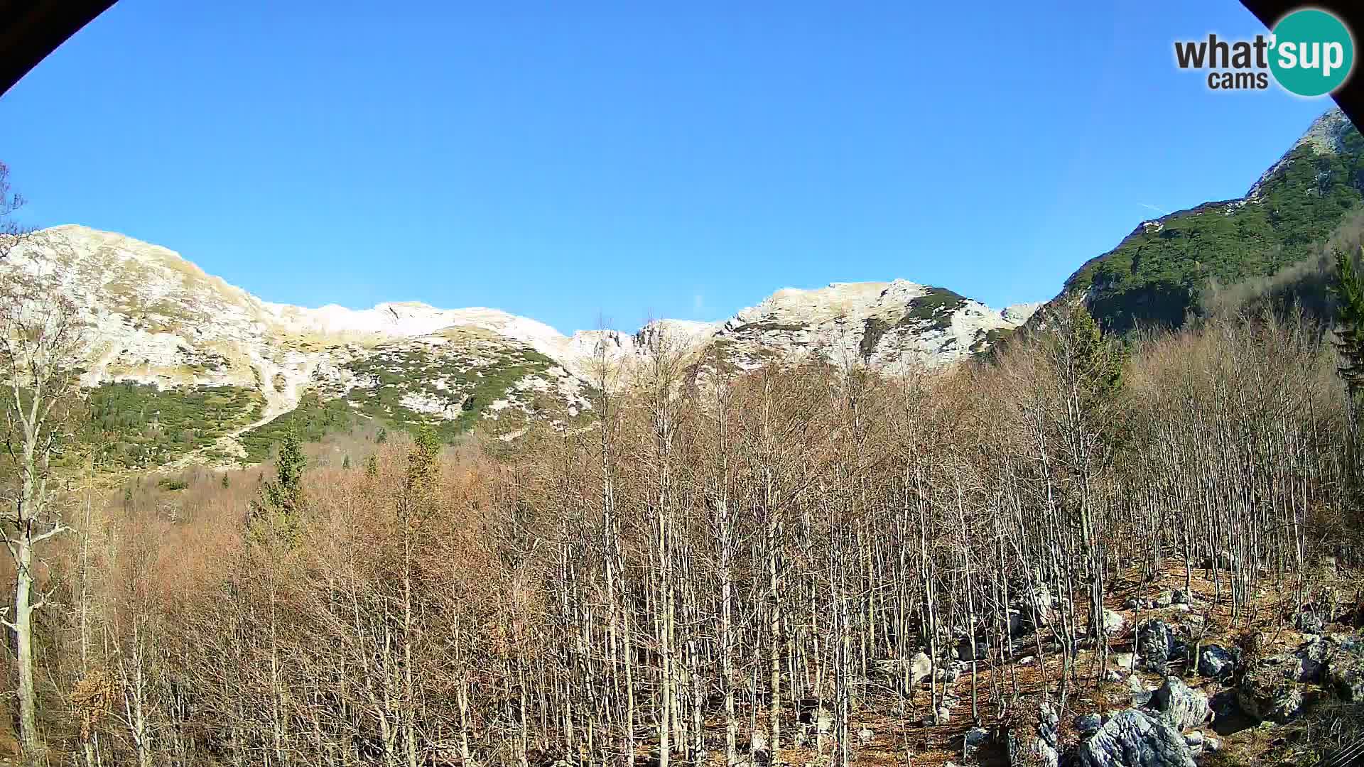 Cámara web PLANINA RAZOR (1315) | vista a Vogel y Globoko